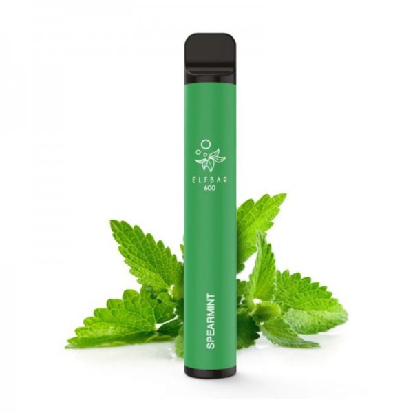 Elfbar 600 Einweg E-Zigarette Spearmint