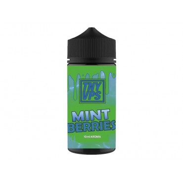 TNYVPS Mint Berries Longfill Aroma 10 ml für 100 ml